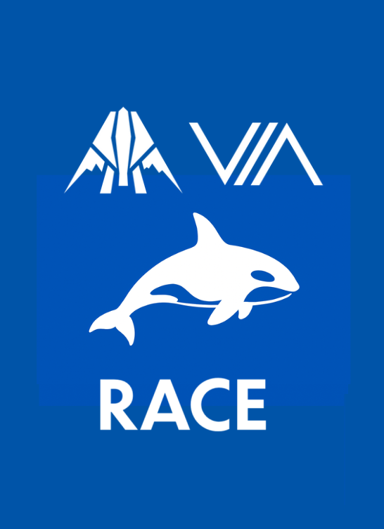 VIA RACE: Chapter III – Registration -  Solo